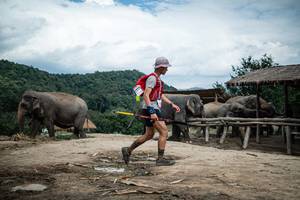 BIB: 
                            <button type="button" onclick="openModal(22423326)" class="btn btn-primary btn-sm float-right btn-popup" data-toggle="modal" data-target=".modal-high-quality">
                        <i class="fas fa-shopping-cart"></i> Add to Cart
                    </button>
                                            <button type="button" onclick="isThisMe(22423326, true)" class="btn btn-success btn-sm float-right btn-popup btn-isme hidden" data-toggle="tooltip" data-placement="bottom" title="นี่คือรูปของคุณใช่ไหม คลิกที่นี่เพื่อเอาเข้าอัลบั้ม">
                        <i class="fas fa-plus"></i> Add to album
                    </button>
                    <button type="button" onclick="isThisMe(22423326, false)" class="btn btn-warning btn-sm float-right btn-popup btn-isnotme hidden">
                        <i class="fas fa-ban"></i> Remove from album
                    </button>